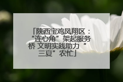 陕西宝鸡凤翔区：“连心角”架起服务桥 文明实践助力“三夏”农忙