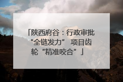 陕西府谷：行政审批“全链发力” 项目齿轮“精准咬合”