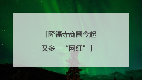 隆福寺商圈今起又多一“网红”