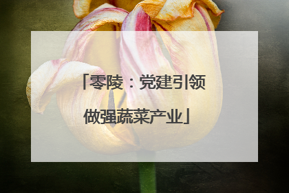 零陵：党建引领 做强蔬菜产业