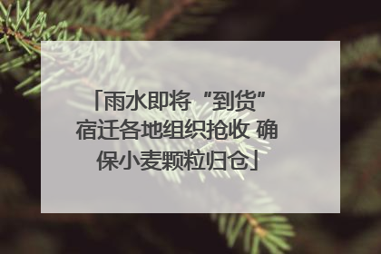 雨水即将“到货” 宿迁各地组织抢收 确保小麦颗粒归仓