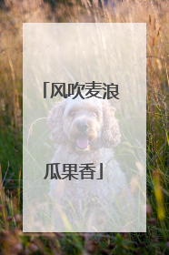 风吹麦浪 瓜果香
