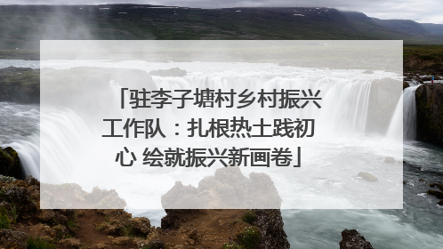 驻李子塘村乡村振兴工作队：扎根热土践初心 绘就振兴新画卷