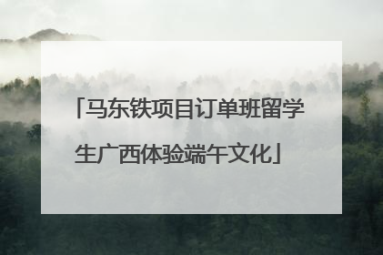 马东铁项目订单班留学生广西体验端午文化