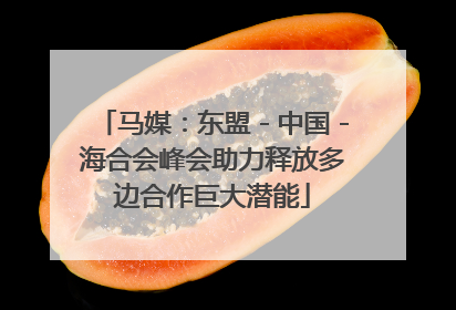 马媒：东盟－中国－海合会峰会助力释放多边合作巨大潜能