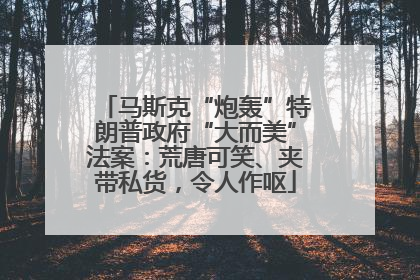 马斯克“炮轰”特朗普政府“大而美”法案：荒唐可笑、夹带私货，令人作呕