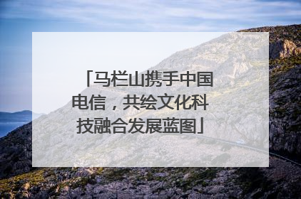 马栏山携手中国电信，共绘文化科技融合发展蓝图