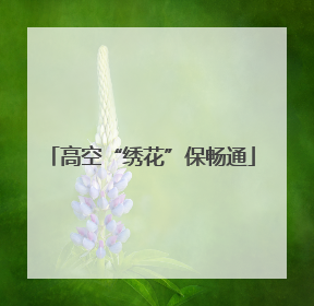 高空“绣花”保畅通