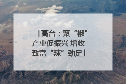 高台：聚“椒”产业促振兴 增收致富“辣”劲足