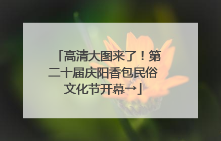 高清大图来了！第二十届庆阳香包民俗文化节开幕→