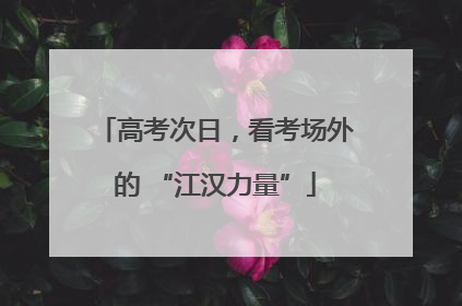 高考次日，看考场外的 “江汉力量”