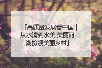 高质量发展看中国｜从水清到水美 美丽河湖扮靓美丽乡村