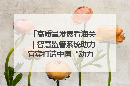 高质量发展看海关｜智慧监管系统助力宜宾打造中国“动力电池之都”