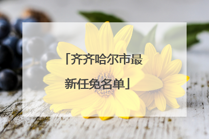 齐齐哈尔市最新任免名单