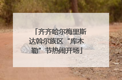 齐齐哈尔梅里斯达斡尔族区“库木勒”节热闹开场