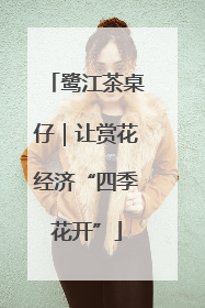 鹭江茶桌仔｜让赏花经济“四季花开”