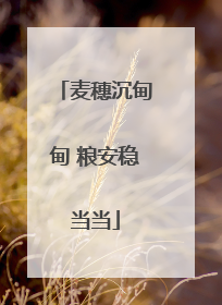 麦穗沉甸甸 粮安稳当当