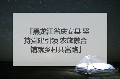 黑龙江省庆安县 坚持党建引领 农旅融合铺就乡村共富路