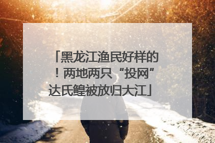 黑龙江渔民好样的！两地两只“投网”达氏鳇被放归大江