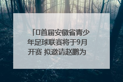 ﻿首届安徽省青少年足球联赛将于9月开赛 拟邀请赵鹏为先导赛开球
