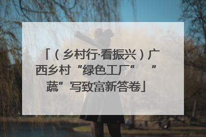 （乡村行·看振兴）广西乡村“绿色工厂” “蔬”写致富新答卷