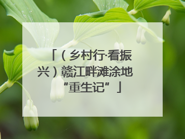 （乡村行·看振兴）赣江畔滩涂地“重生记”