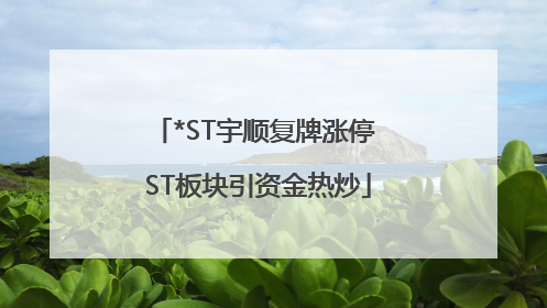 *ST宇顺复牌涨停 ST板块引资金热炒