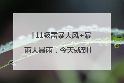 11级雷暴大风+暴雨大暴雨，今天就到