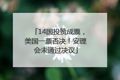 14国投赞成票，美国一票否决！安理会未通过决议
