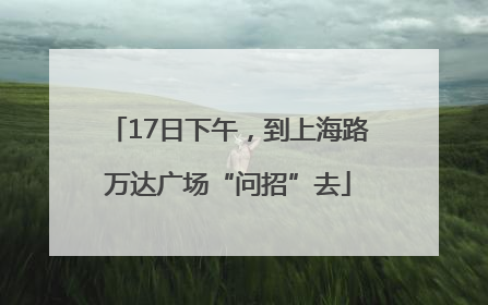 17日下午，到上海路万达广场“问招”去