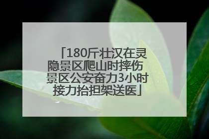 180斤壮汉在灵隐景区爬山时摔伤 景区公安奋力3小时接力抬担架送医