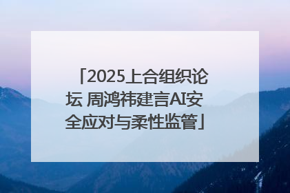 2025上合组织论坛 周鸿祎建言AI安全应对与柔性监管