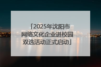 2025年沈阳市网络文化企业进校园双选活动正式启动