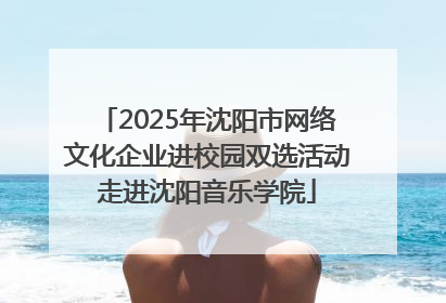 2025年沈阳市网络文化企业进校园双选活动走进沈阳音乐学院