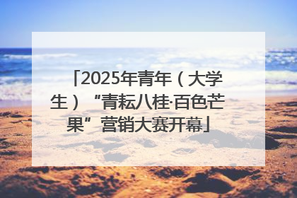 2025年青年（大学生）“青耘八桂·百色芒果”营销大赛开幕