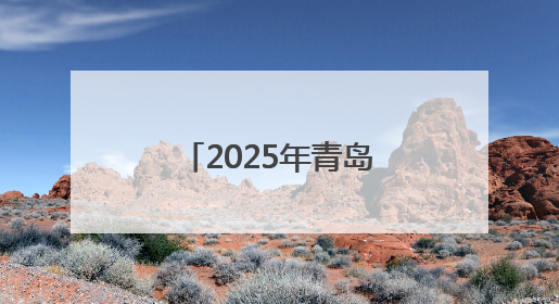 2025年青岛市“安全宣传咨询日”主场活动在西海岸新区举行