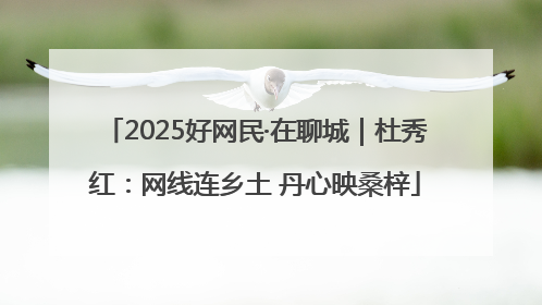 2025好网民·在聊城｜杜秀红：网线连乡土 丹心映桑梓