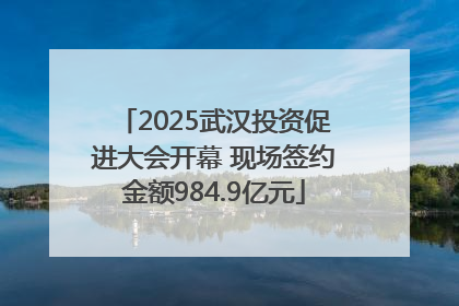 2025武汉投资促进大会开幕 现场签约金额984.9亿元