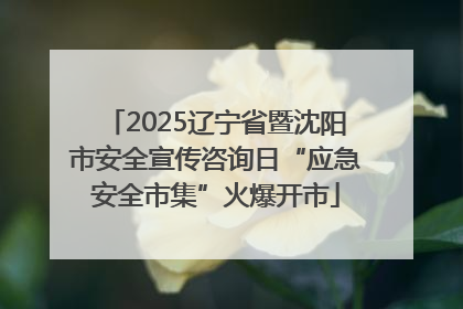 2025辽宁省暨沈阳市安全宣传咨询日“应急安全市集”火爆开市
