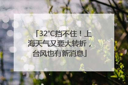32℃挡不住！上海天气又要大转折，台风也有新消息