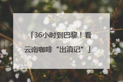 36小时到巴黎！看云南咖啡“出滇记”
