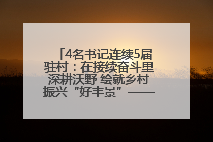 4名书记连续5届驻村：在接续奋斗里深耕沃野 绘就乡村振兴“好丰景”——浦发银行南京分行助力脱贫攻坚、帮促乡村振兴记事（二）