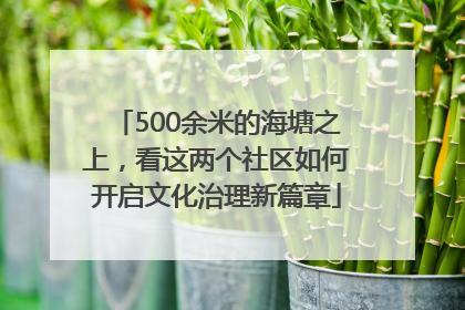 500余米的海塘之上，看这两个社区如何开启文化治理新篇章