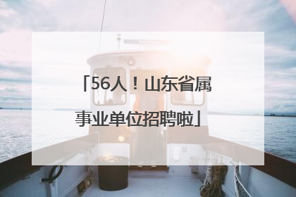 56人！山东省属事业单位招聘啦