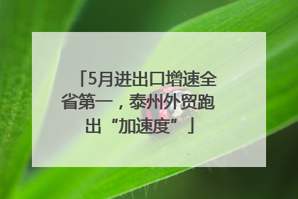 5月进出口增速全省第一，泰州外贸跑出“加速度”