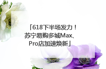 618下半场发力！苏宁易购多城Max、Pro店加速焕新