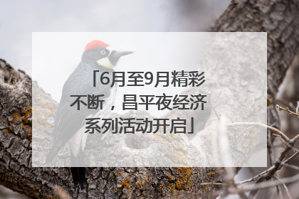 6月至9月精彩不断，昌平夜经济系列活动开启