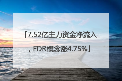 7.52亿主力资金净流入，EDR概念涨4.75%