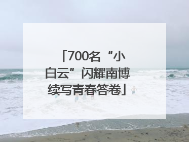 700名“小白云”闪耀南博续写青春答卷