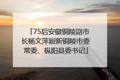 75后安徽铜陵副市长杨文萍履新铜陵市委常委、枞阳县委书记